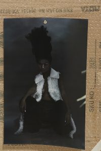 ELLE COLLECTION 210988